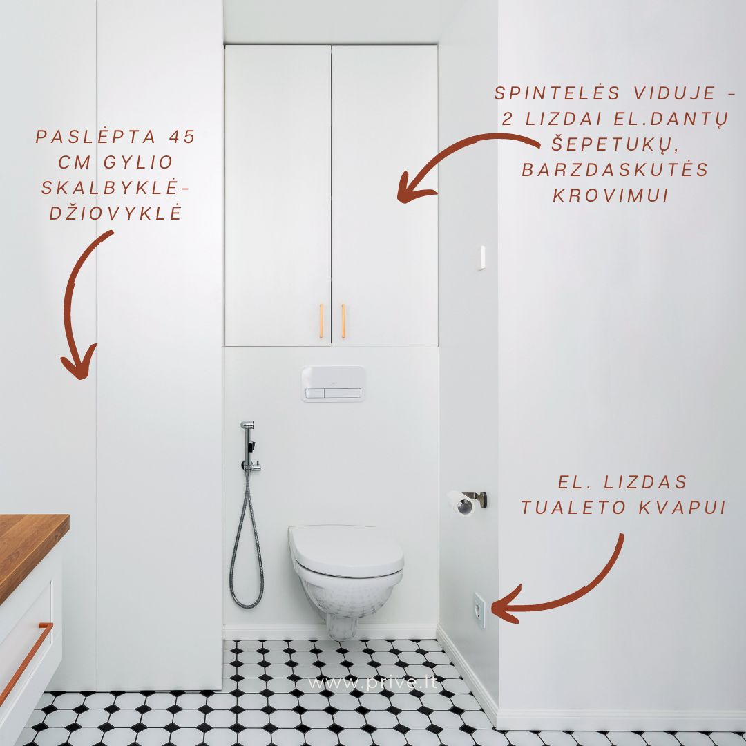 Paslėpti elektros lizdai prietaisams vonioje