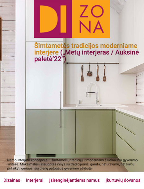 Straipsnis apie namą Molėtuose_DIzona